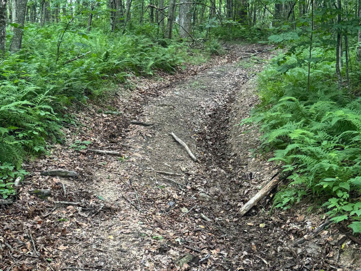 Trail 85 photo 6