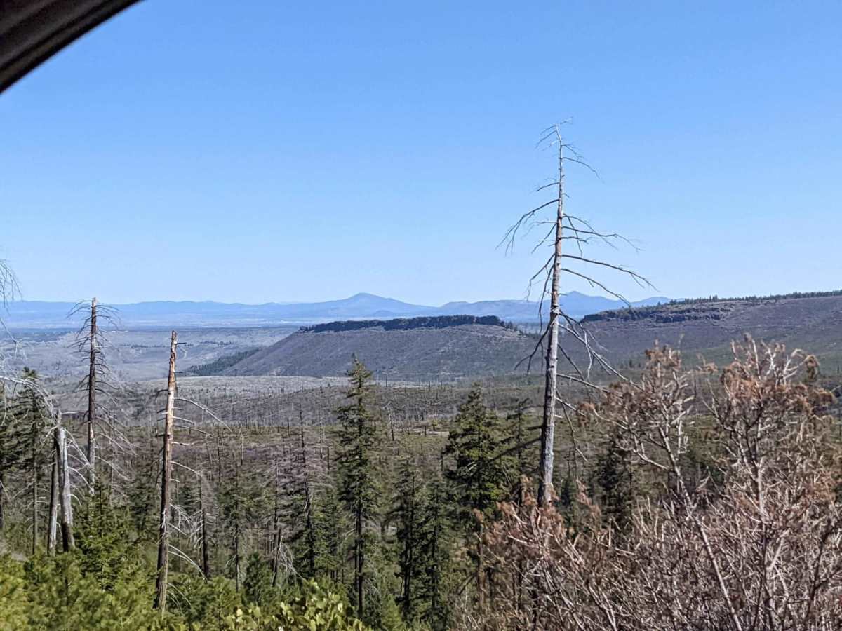 Squawback Ridge - NF119000 photo 6