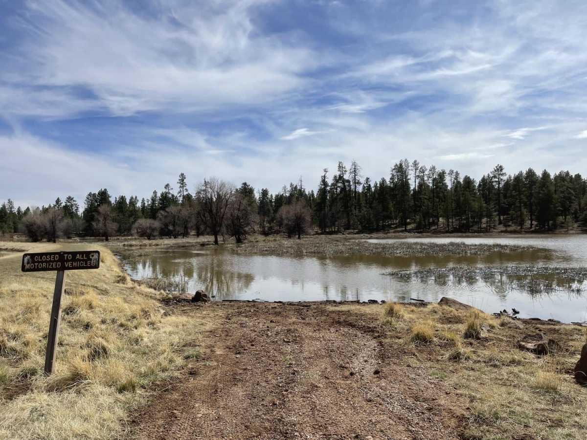 JD Dam Lake trail photo