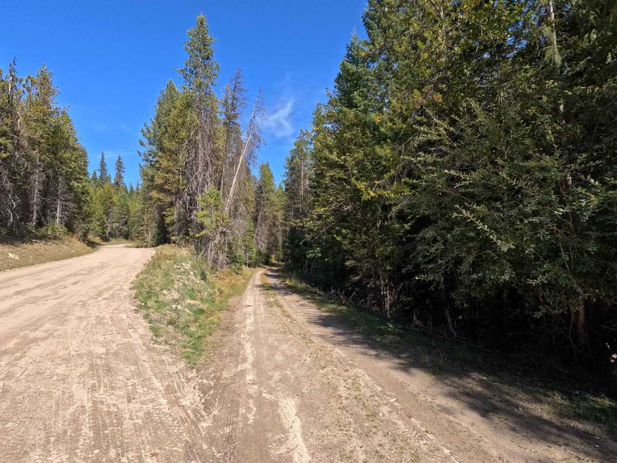 Healey Creek - FS 9517200 trail photo