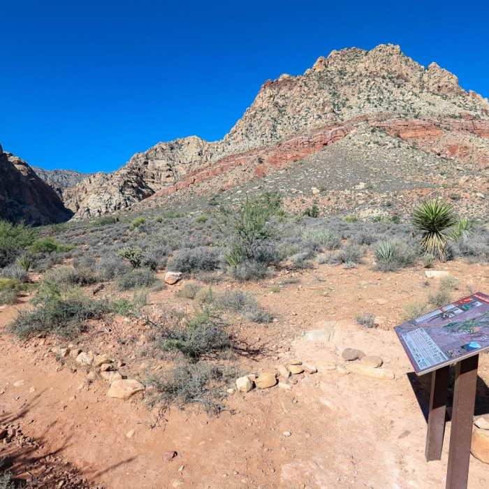 Near Sandstone Canyon Loop