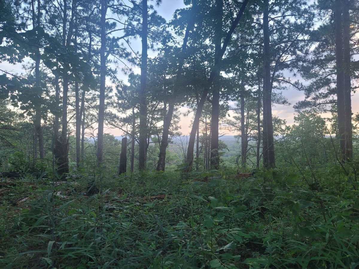 537 - Flag Mountain photo 5