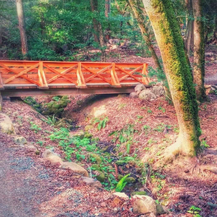 Near John Nicholas to Skyline Shuttle