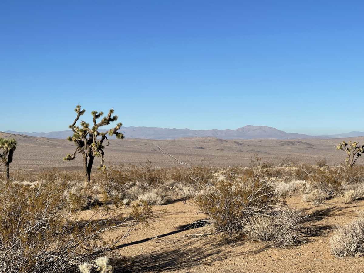 Technical Rip Along Trona Road photo 5