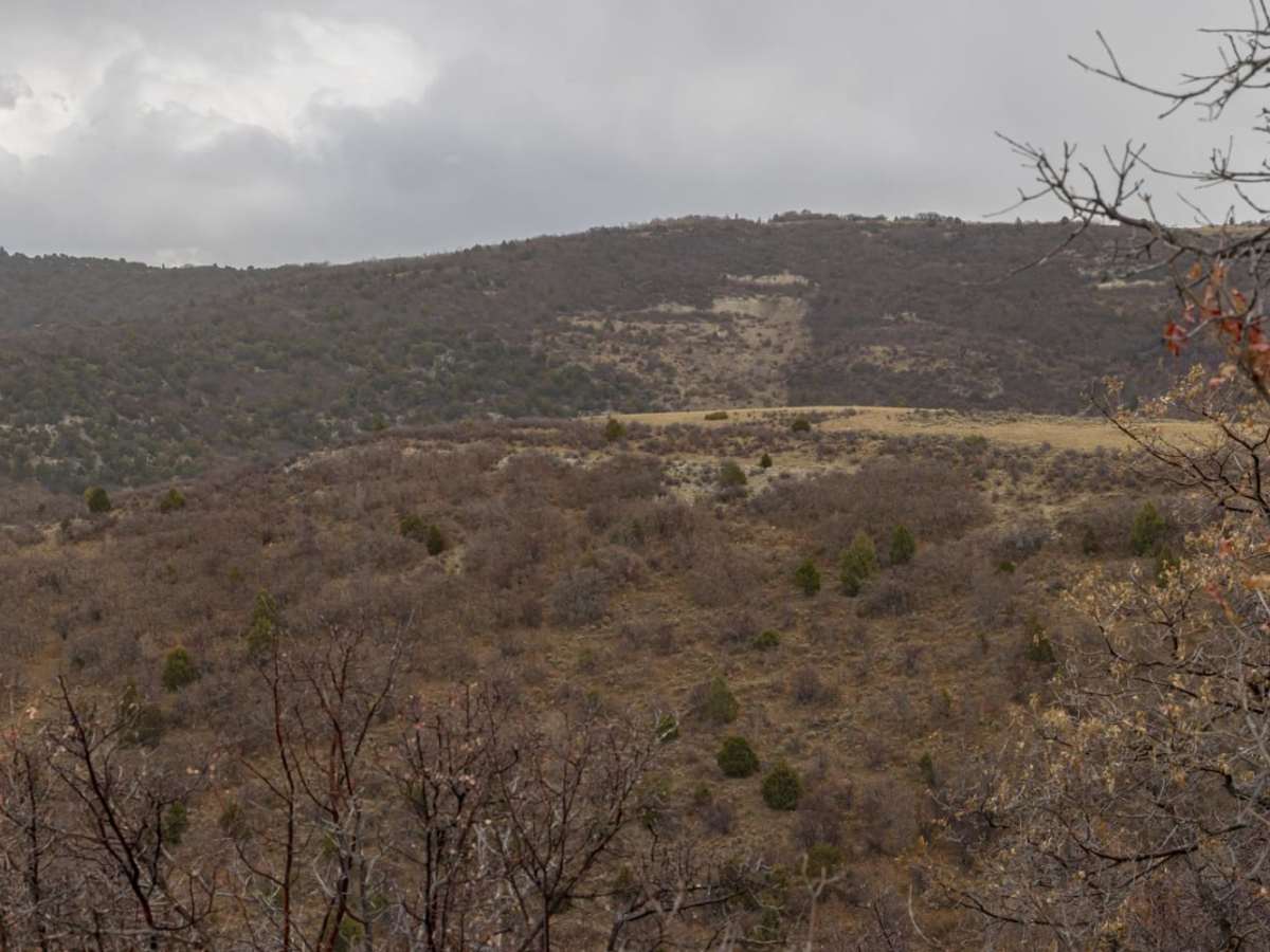 Catamount Trail photo 4