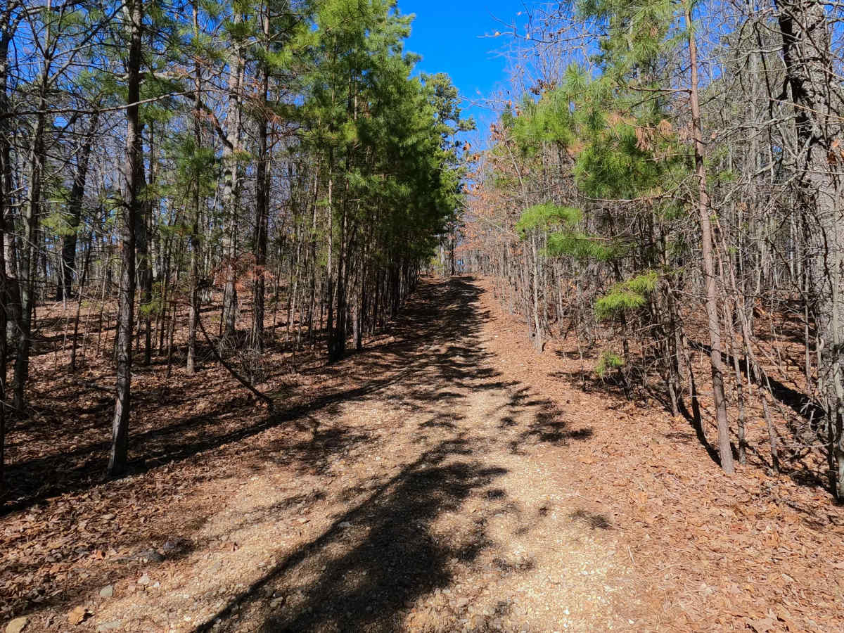 Kemlin Hollow - FS 2627 photo 6