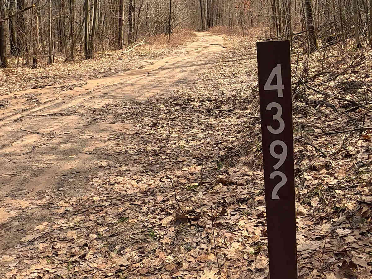 FS 4392 trail photo