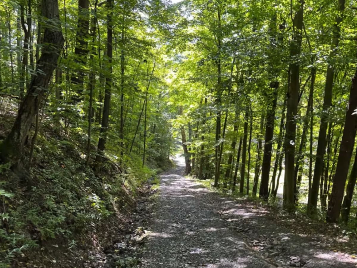 Connecticut Hill Road photo 4