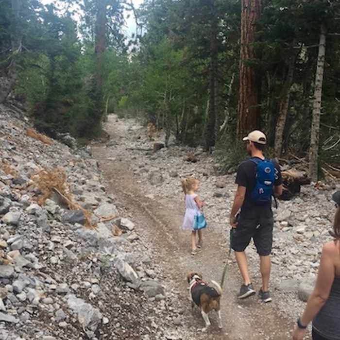 Family on the trail Near Mary Jane Falls Trail