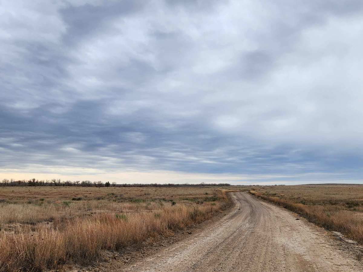 Conestoga Loop  photo 5