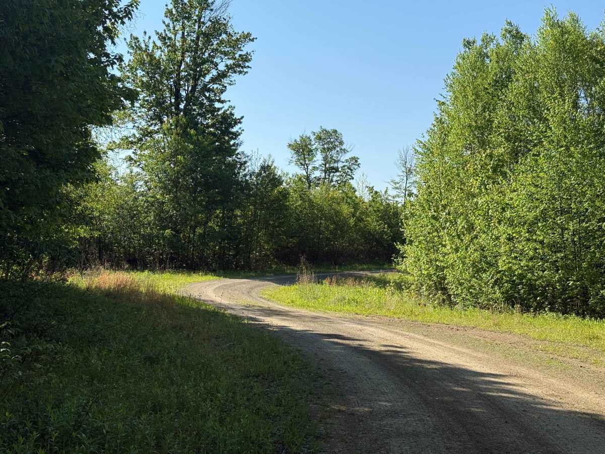 Dewdrop Trail A - FS 263A photo 4