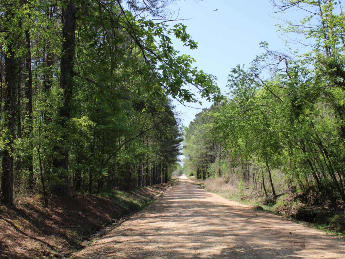 The Arkansas Overland Route - TrailHawk Loop - Section 17 photo 3