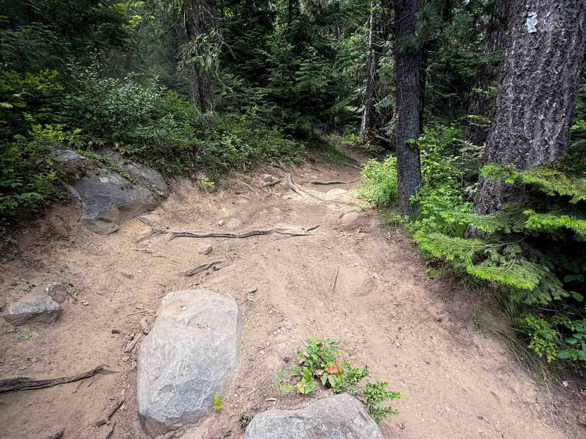 Ruftac Trail 146   photo 2