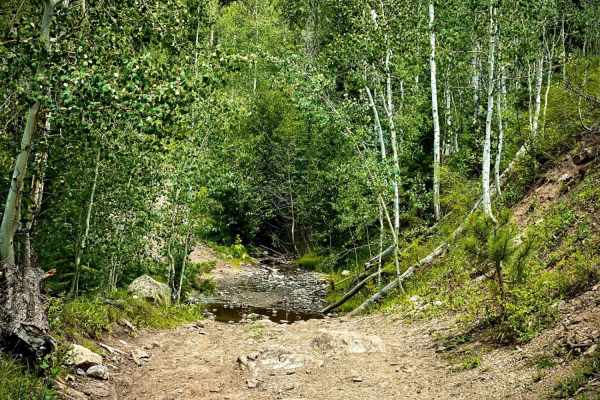 Baldy Trail