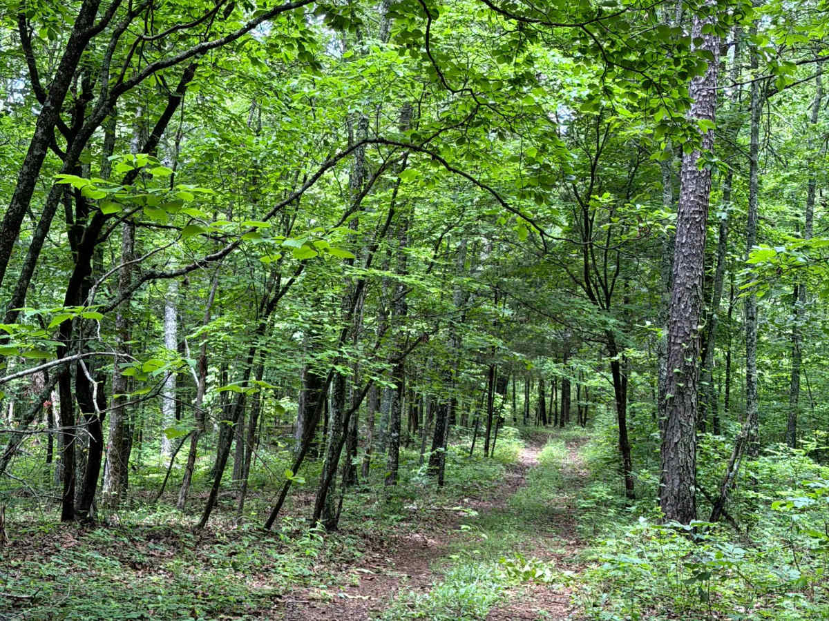 West Prong Passage photo 3