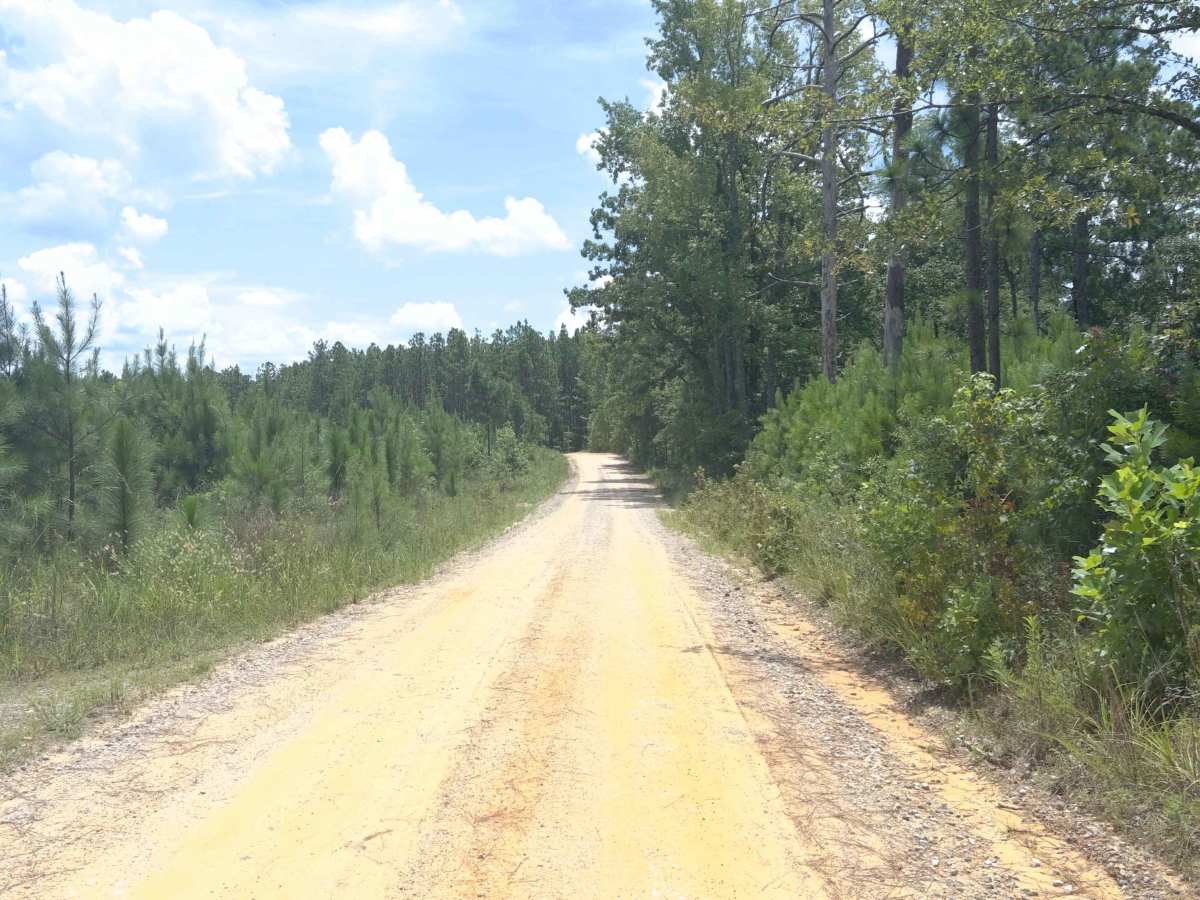 Perry Mountain Road FS426 Part 1 photo 4
