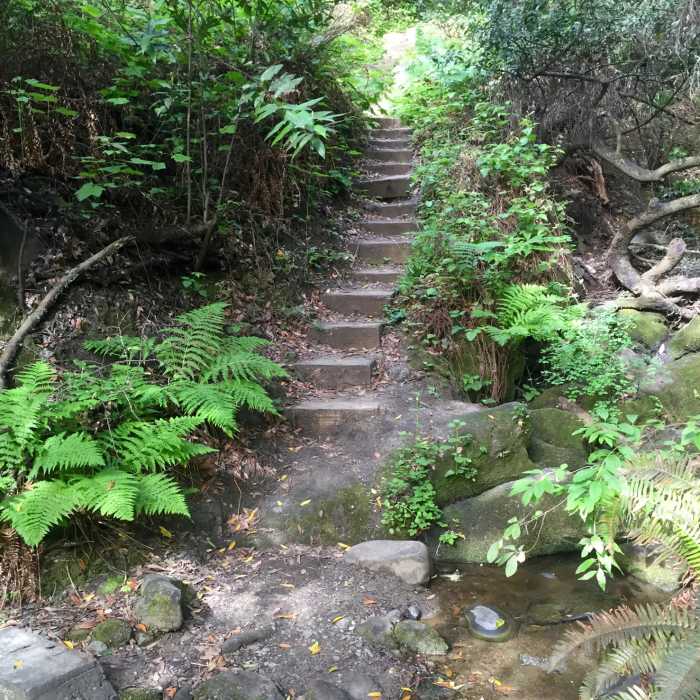 Near Laurel Canyon Road