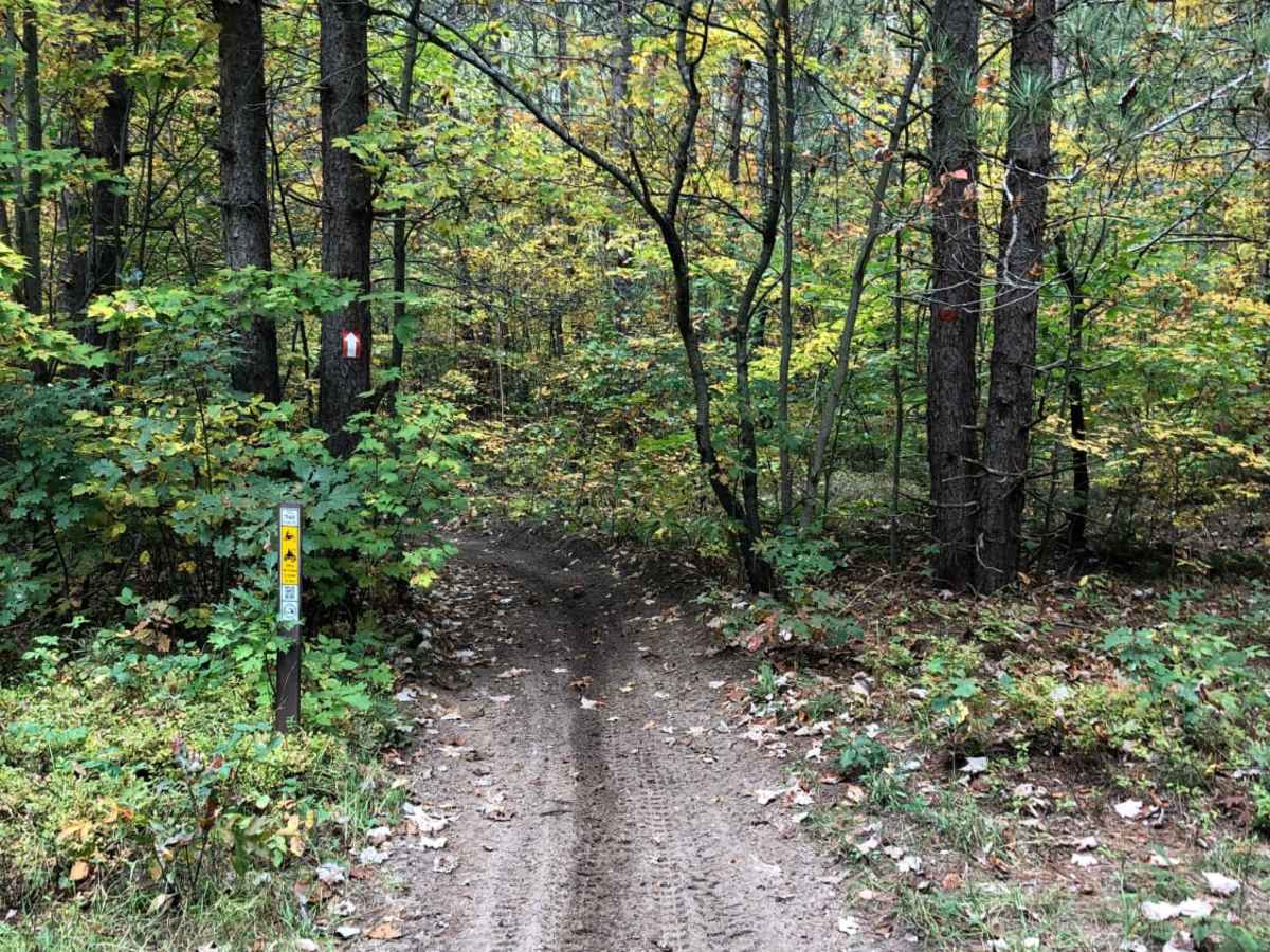 Crapo Creek Trail trail photo