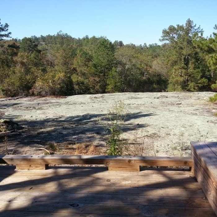 Panola Mountain Outlook. Near Panola Mountain Spur Trail