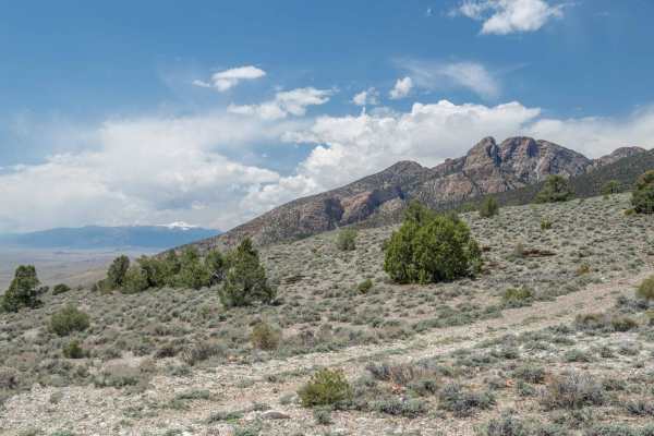 Trout Creek