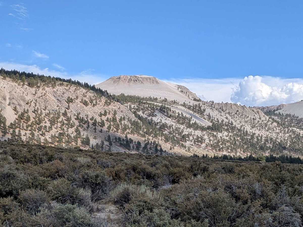 Crater Mountain Flats - FS 1S03 photo 3