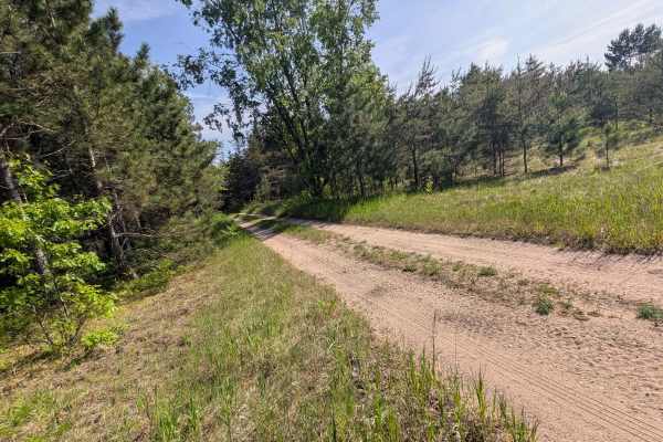 Swamp Camp Trail