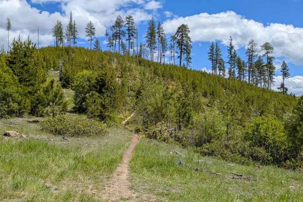 North Fork of Howard Trail 322