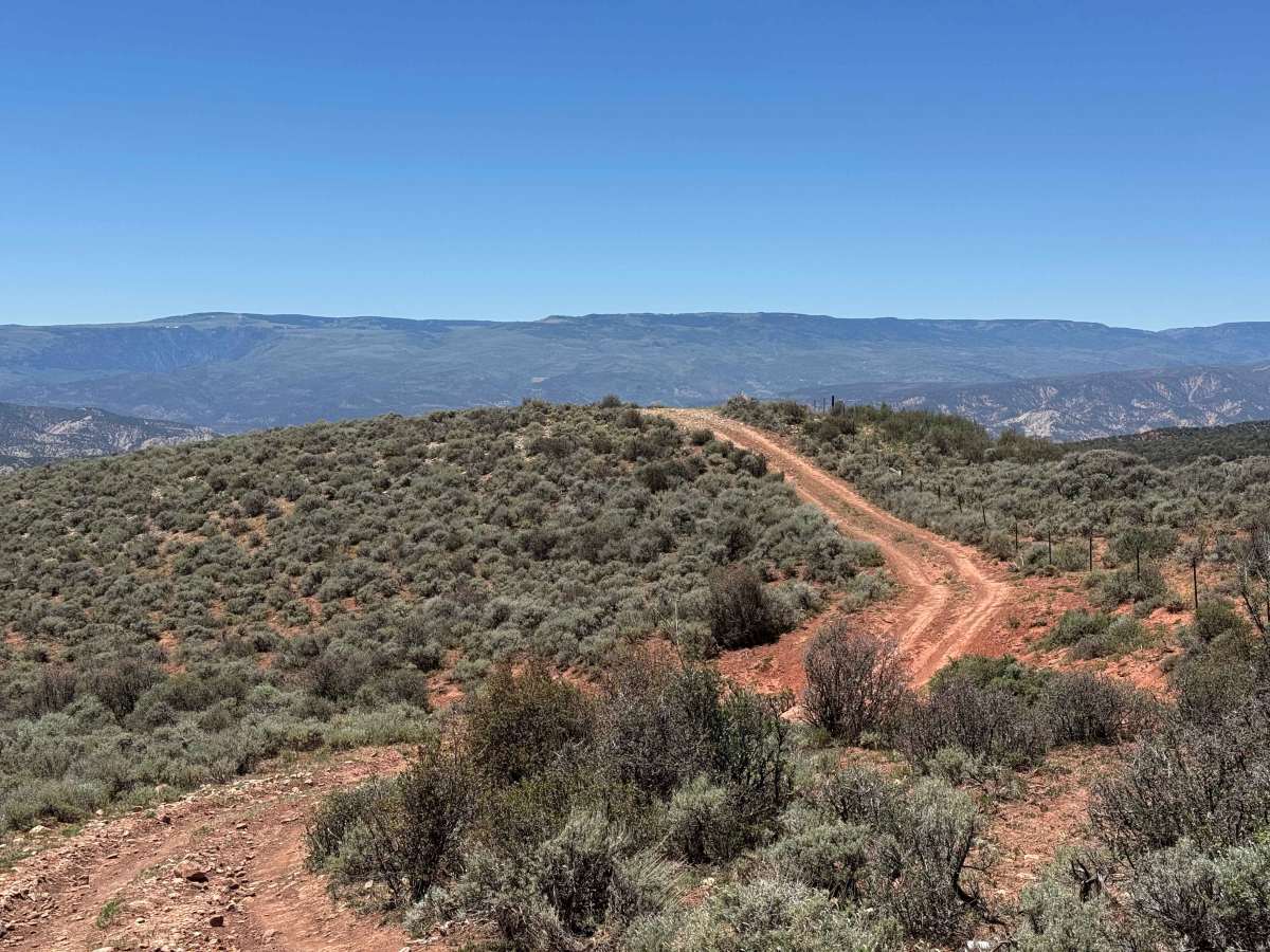 BLM 8485B photo 6