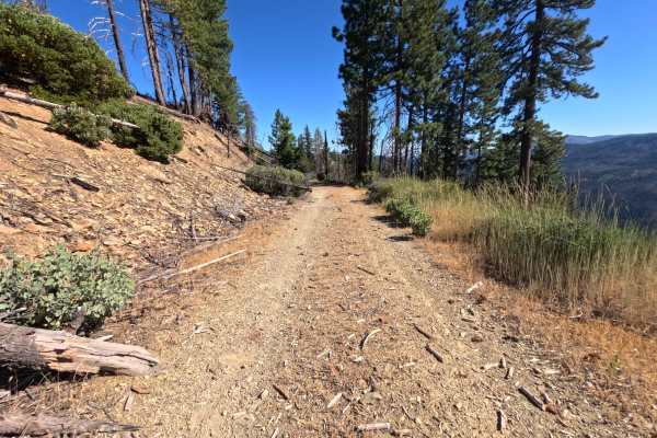 Spanish Ridge - FS 21N39