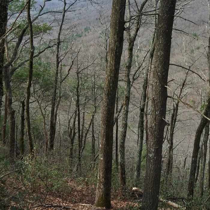 Near Roper Hollow Road