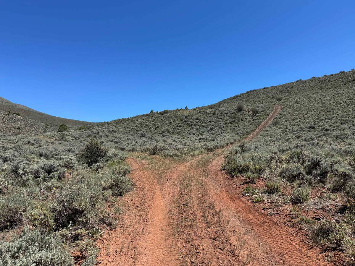 BLM 8487 trail photo