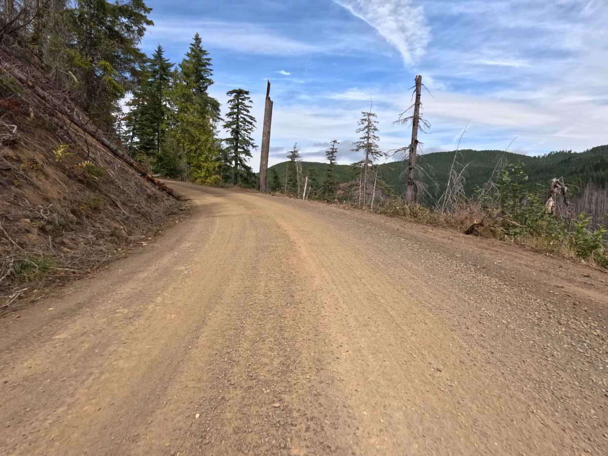 Dry Creek - FS 6400 trail photo