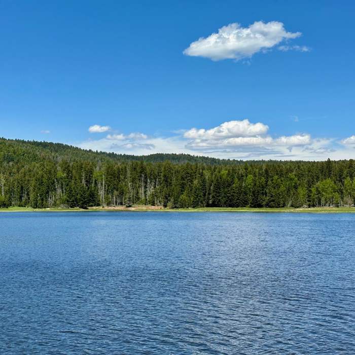 Near Continental Divide Trail: New Mexico Section 25