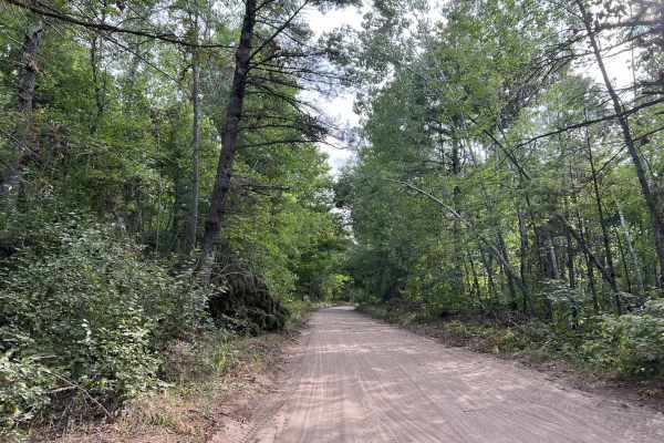 Route FIR - Forest Road 31616