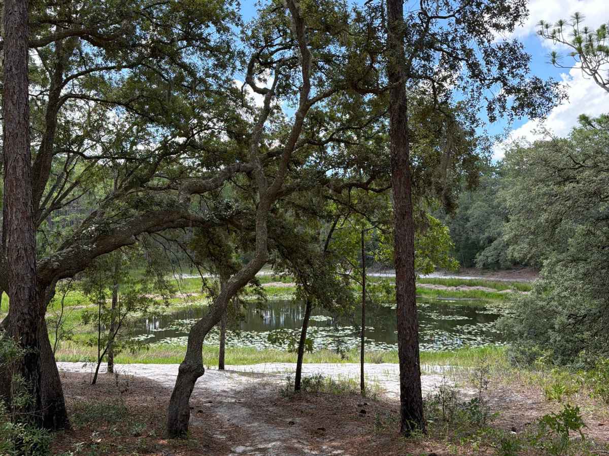 Two Pond Loop photo 2