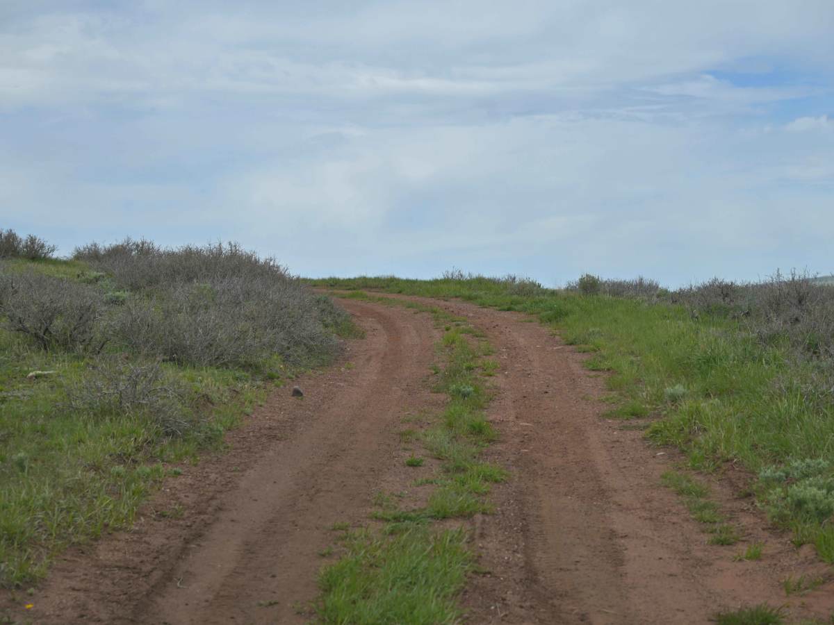 Barker Ridge - FS 10583 photo 5