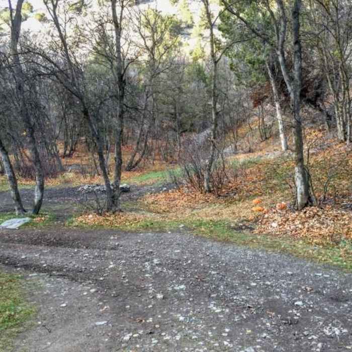 Near Logan Temple Quarry