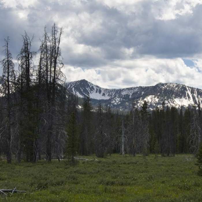Near Marten + Kelly Lake, Bench Creek Divide