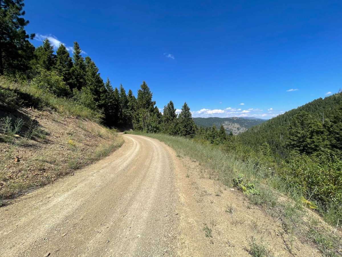 West Holloman Schwartz photo 3