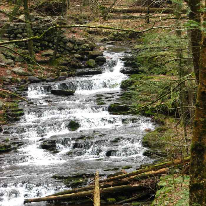 Near Stony Brook Trail