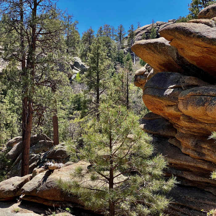 Near West Potato Patch Loop