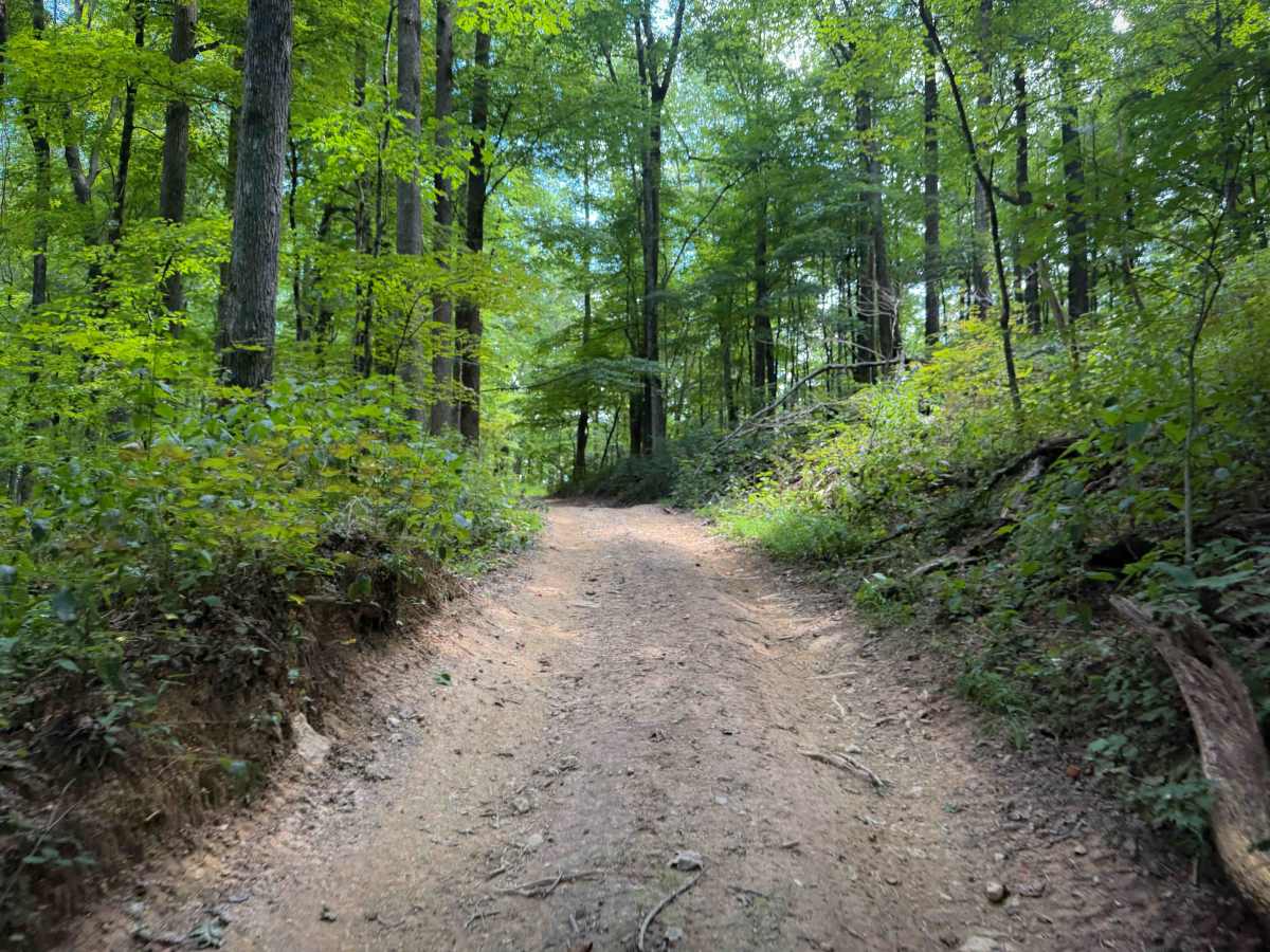Gibson Knob Trail 15   photo 5
