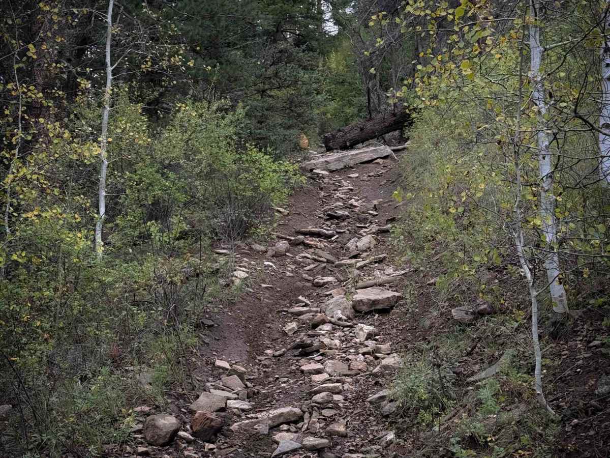La Cueva Canyon Trail - FS 492  trail photo