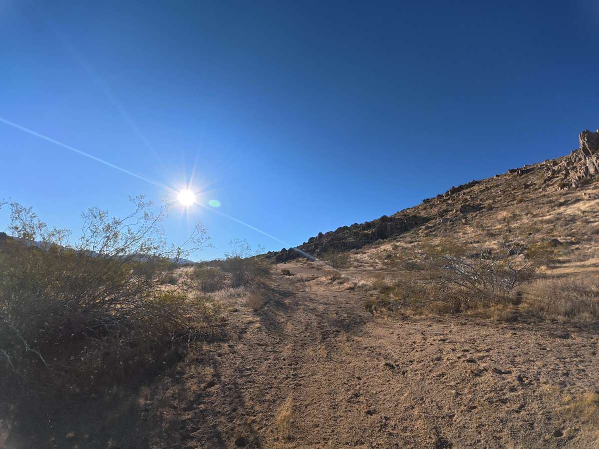 BLM SV2613 photo 2