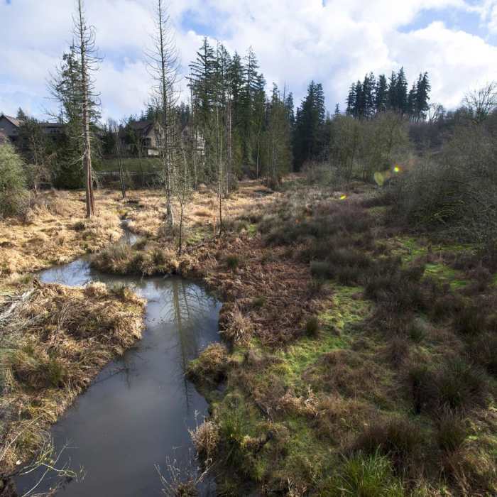 Near North Johnson Creek Trail