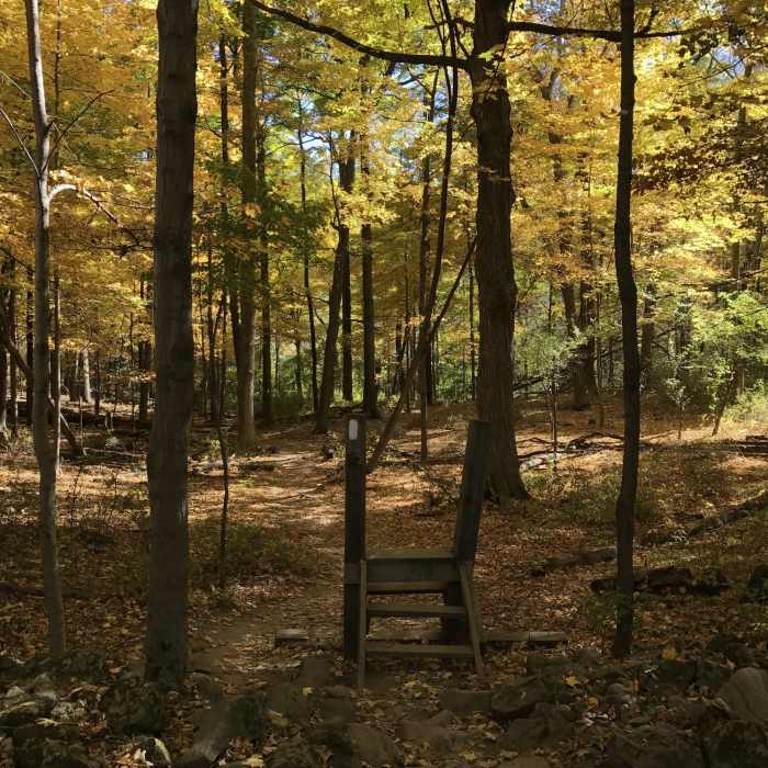 A staircase over a cattle fence. There are several of these along this section of the trail. Near Pinwheel Vista Out-and-Back