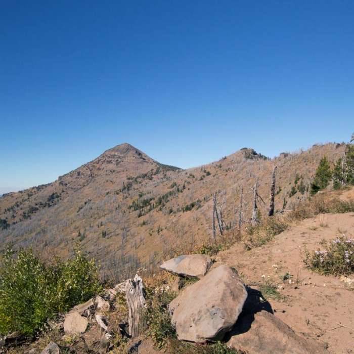 Near Strawberry Mountain via Roads End Trail