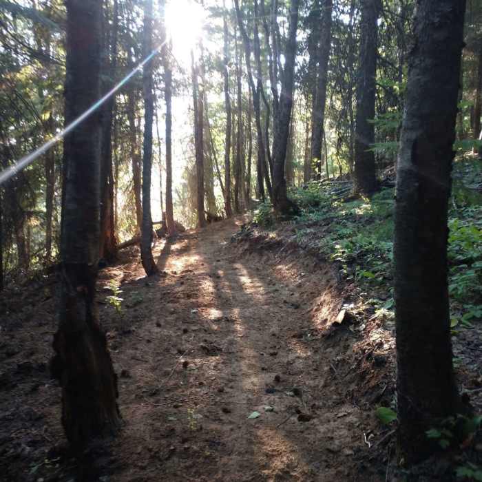 Near Mica Peak to Liberty Lake: Highline Connector