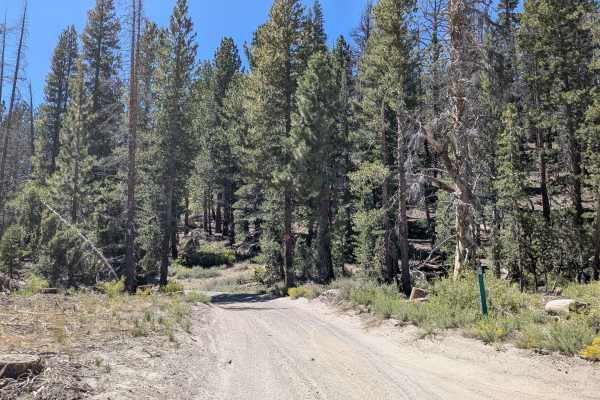 Dry Creek Road - FS3S22