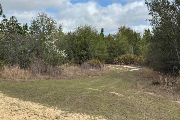 Hunting Road